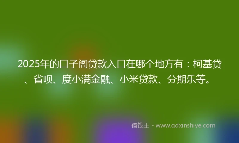 2025年的口子阁贷款入口在哪个地方有：柯基贷、省呗、度小满金融、小米贷款、分期乐等。