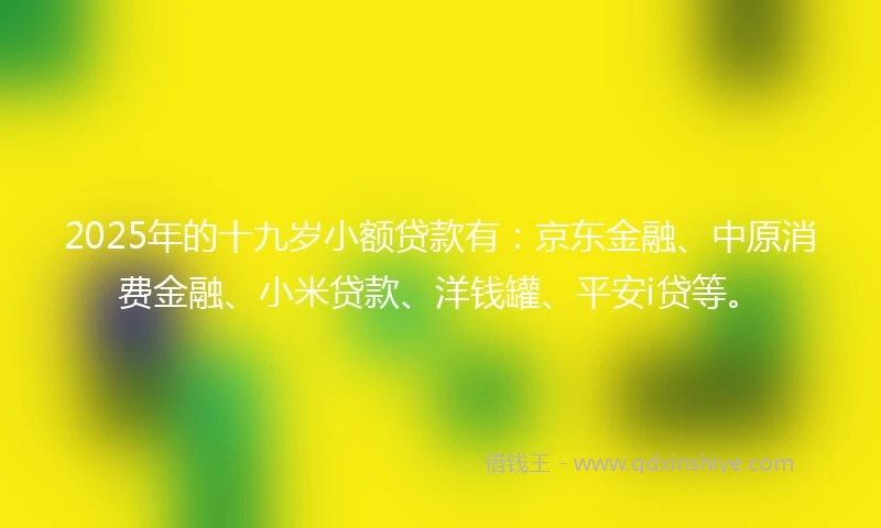 2025年的十九岁小额贷款有：京东金融、中原消费金融、小米贷款、洋钱罐、平安i贷等。