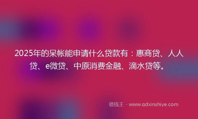 2025年的呆帐能申请什么贷款有：惠商贷、人人贷、e微贷、中原消费金融、滴水贷等。