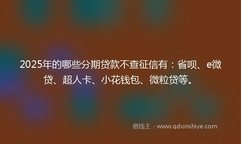 2025年的哪些分期贷款不查征信有：省呗、e微贷、超人卡、小花钱包、微粒贷等。