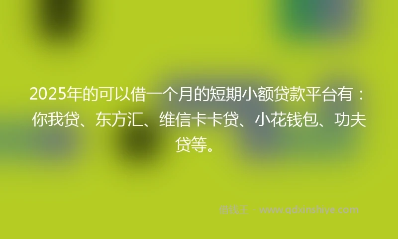 2025年的可以借一个月的短期小额贷款平台有：你我贷、东方汇、维信卡卡贷、小花钱包、功夫贷等。