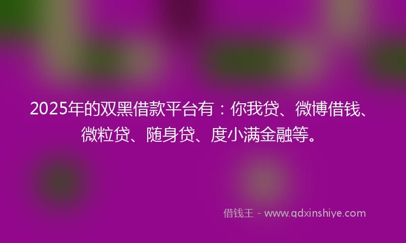 2025年的双黑借款平台有：你我贷、微博借钱、微粒贷、随身贷、度小满金融等。