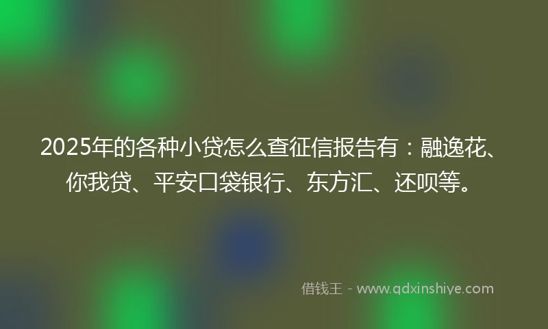 2025年的各种小贷怎么查征信报告有:融逸花、你我贷、平安口袋银行、东方汇、还呗等。