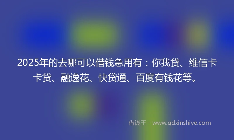2025年的去哪可以借钱急用有：你我贷、维信卡卡贷、融逸花、快贷通、百度有钱花等。