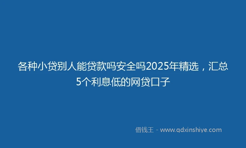 各种小贷别人能贷款吗安全吗2025年精选，汇总5个利息低的网贷口子