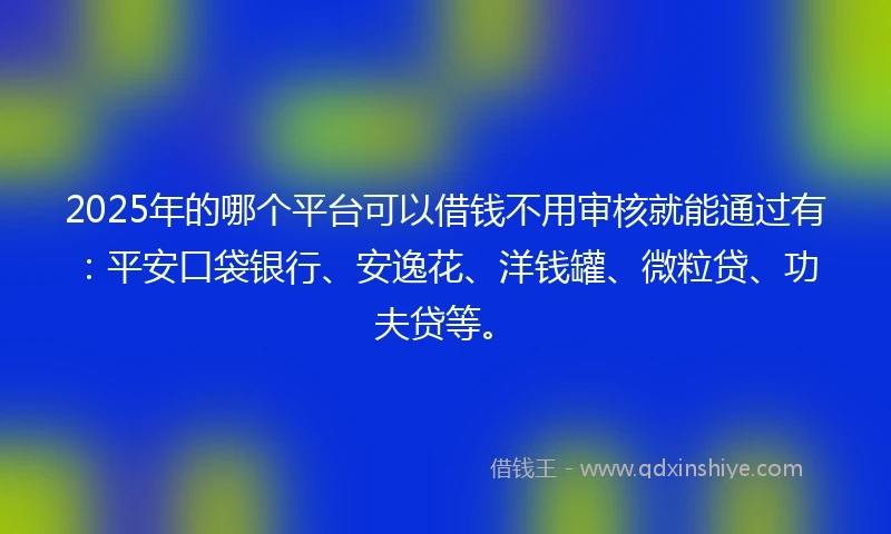 2025年的哪个平台可以借钱不用审核就能通过有：平安口袋银行、安逸花、洋钱罐、微粒贷、功夫贷等。