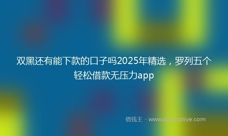 双黑还有能下款的口子吗2025年精选，罗列五个轻松借款无压力app