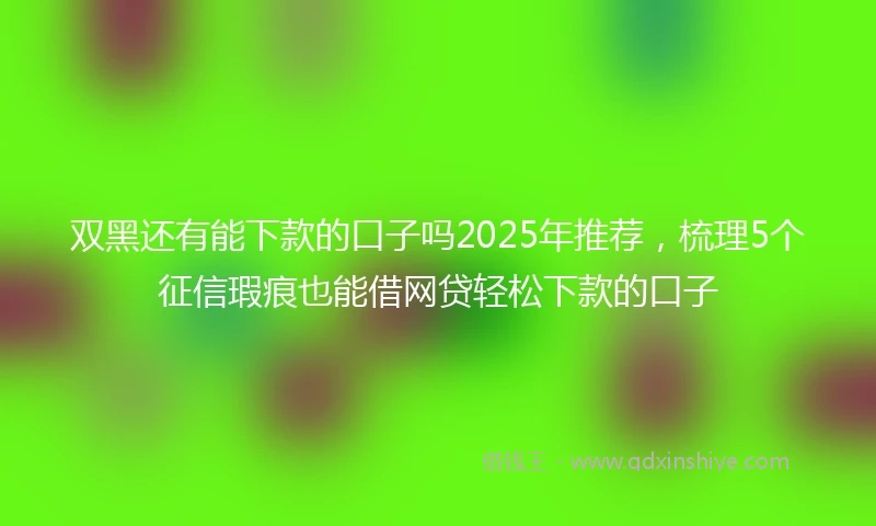 双黑还有能下款的口子吗2025年推荐，梳理5个征信瑕疵也能借网贷轻松下款的口子