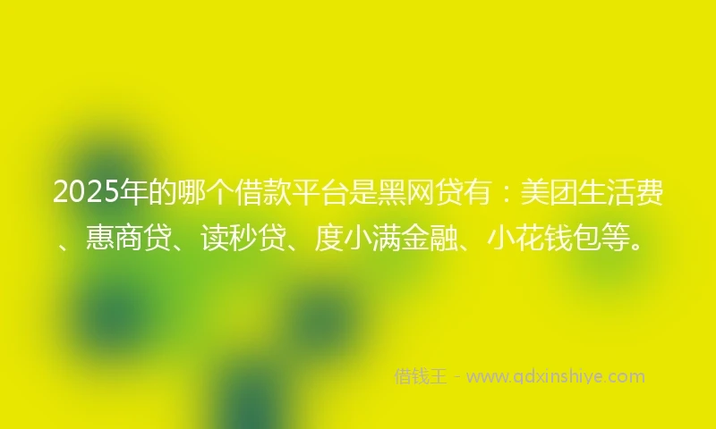 2025年的哪个借款平台是黑网贷有：美团生活费、惠商贷、读秒贷、度小满金融、小花钱包等。