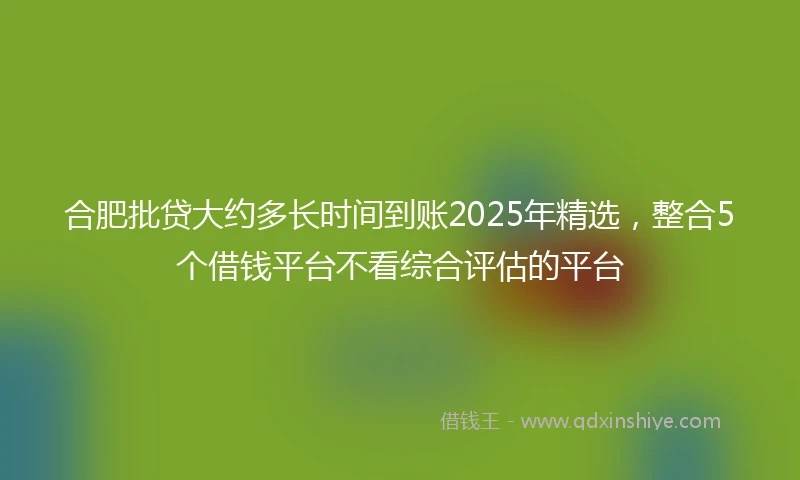合肥批贷大约多长时间到账2025年精选，整合5个借钱平台不看综合评估的平台