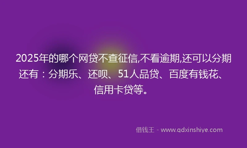 2025年的哪个网贷不查征信,不看逾期,还可以分期还有：分期乐、还呗、51人品贷、百度有钱花、信用卡贷等。