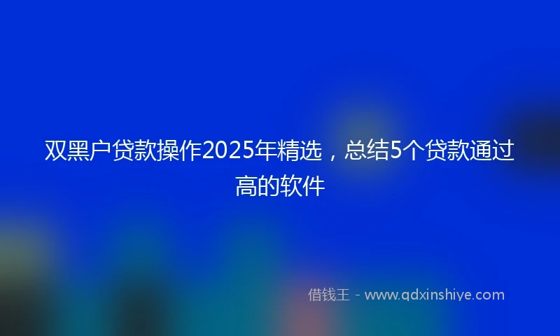 双黑户贷款操作2025年精选，总结5个贷款通过高的软件
