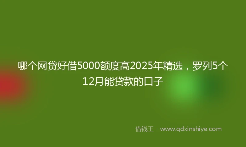 哪个网贷好借5000额度高2025年精选，罗列5个12月能贷款的口子
