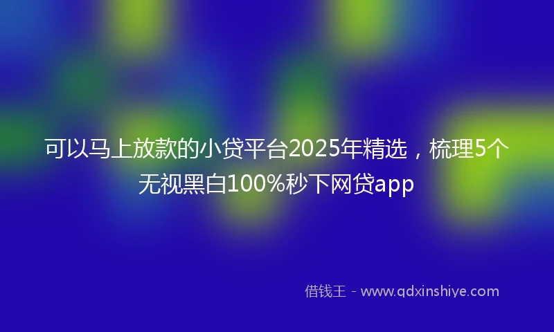 可以马上放款的小贷平台2025年精选，梳理5个无视黑白100%秒下网贷app