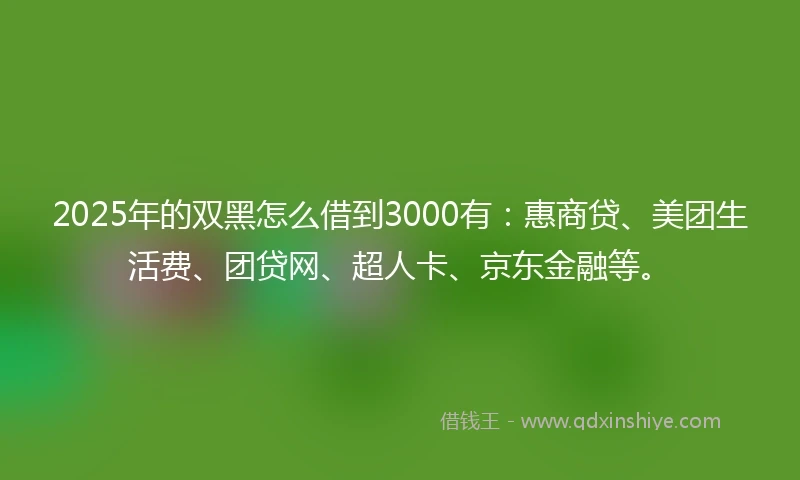 2025年的双黑怎么借到3000有：惠商贷、美团生活费、团贷网、超人卡、京东金融等。