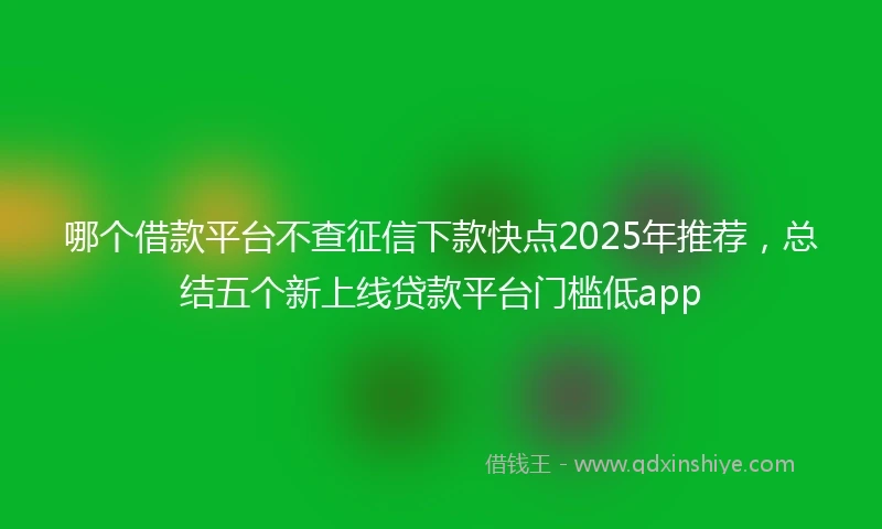 哪个借款平台不查征信下款快点2025年推荐，总结五个新上线贷款平台门槛低app