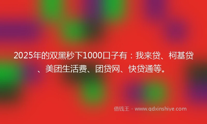 2025年的双黑秒下1000口子有：我来贷、柯基贷、美团生活费、团贷网、快贷通等。