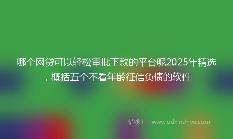 哪个网贷可以轻松审批下款的平台呢2025年精选，概括五个不看年龄征信负债的软件