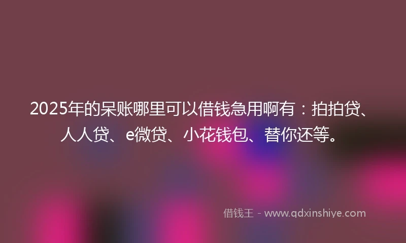 2025年的呆账哪里可以借钱急用啊有：拍拍贷、人人贷、e微贷、小花钱包、替你还等。