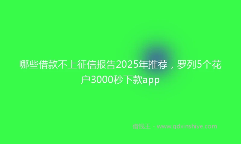 哪些借款不上征信报告2025年推荐，罗列5个花户3000秒下款app