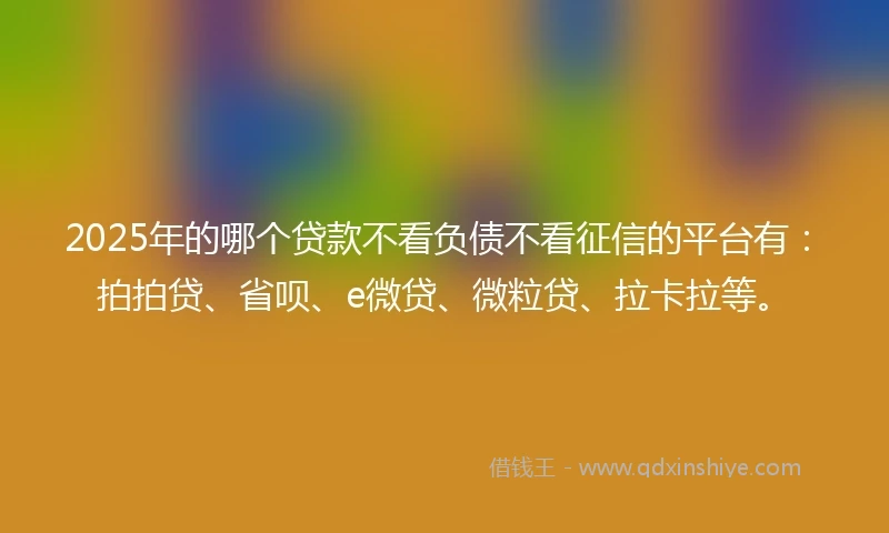 2025年的哪个贷款不看负债不看征信的平台有：拍拍贷、省呗、e微贷、微粒贷、拉卡拉等。
