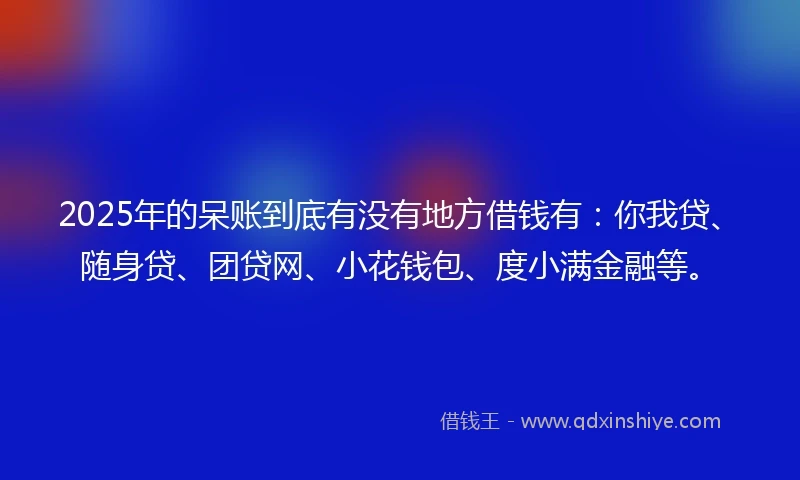 2025年的呆账到底有没有地方借钱有：你我贷、随身贷、团贷网、小花钱包、度小满金融等。