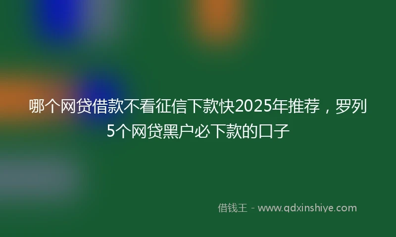 哪个网贷借款不看征信下款快2025年推荐，罗列5个网贷黑户必下款的口子