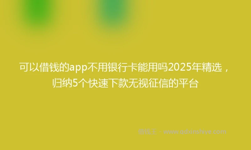 可以借钱的app不用银行卡能用吗2025年精选,归纳5个快速下款无视征信的平台