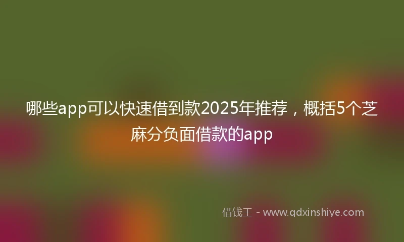 哪些app可以快速借到款2025年推荐，概括5个芝麻分负面借款的app