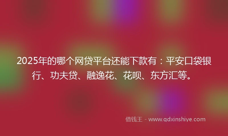 2025年的哪个网贷平台还能下款有：平安口袋银行、功夫贷、融逸花、花呗、东方汇等。
