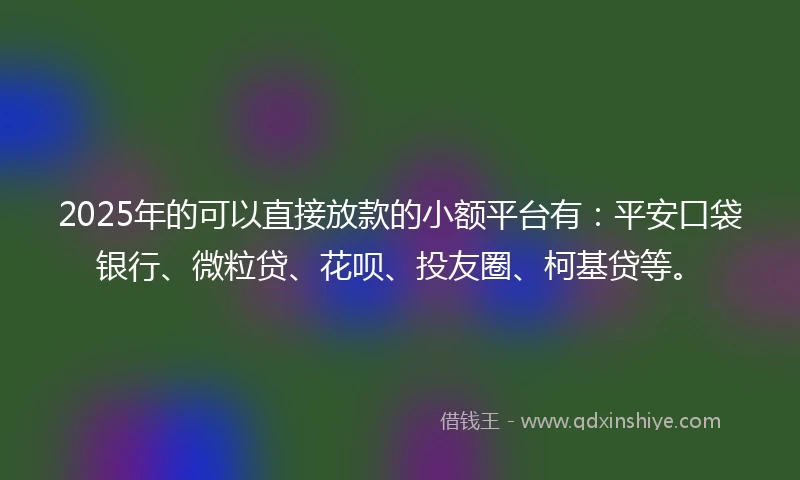 2025年的可以直接放款的小额平台有：平安口袋银行、微粒贷、花呗、投友圈、柯基贷等。