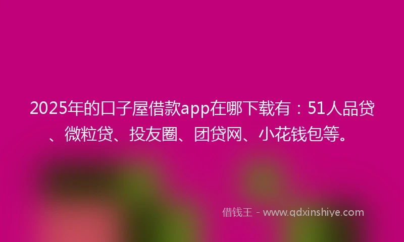 2025年的口子屋借款app在哪下载有：51人品贷、微粒贷、投友圈、团贷网、小花钱包等。