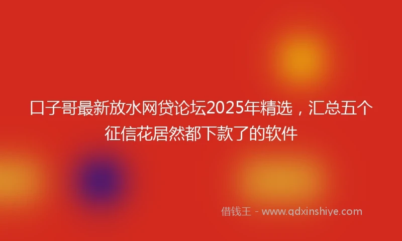 口子哥最新放水网贷论坛2025年精选,汇总五个征信花居然都下款了的软件