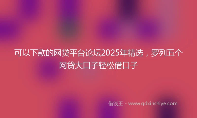 可以下款的网贷平台论坛2025年精选，罗列五个网贷大口子轻松借口子