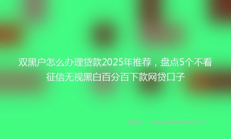 双黑户怎么办理贷款2025年推荐，盘点5个不看征信无视黑白百分百下款网贷口子