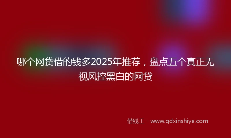 哪个网贷借的钱多2025年推荐，盘点五个真正无视风控黑白的网贷