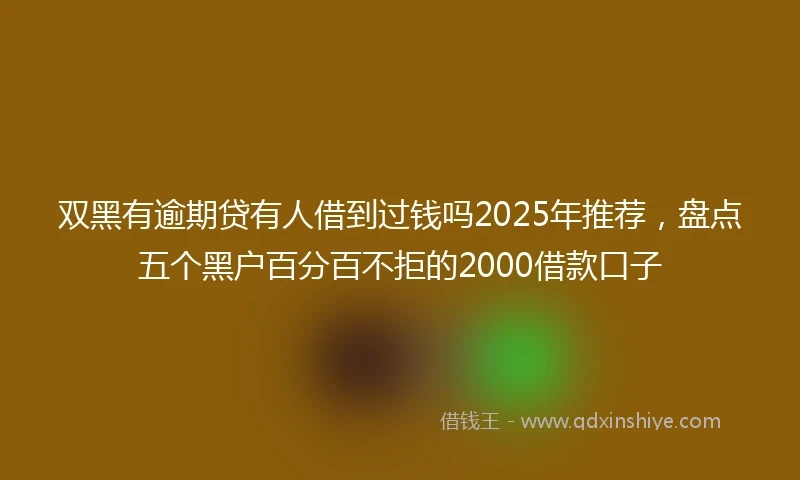 双黑有逾期贷有人借到过钱吗2025年推荐，盘点五个黑户百分百不拒的2000借款口子