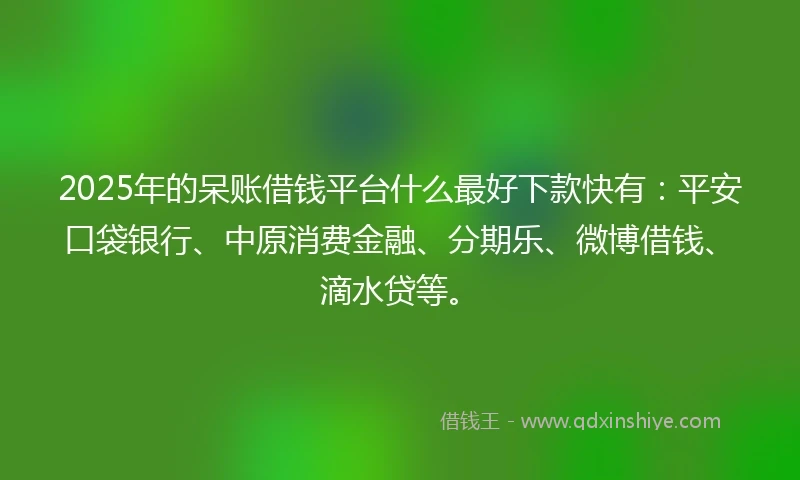 2025年的呆账借钱平台什么最好下款快有：平安口袋银行、中原消费金融、分期乐、微博借钱、滴水贷等。