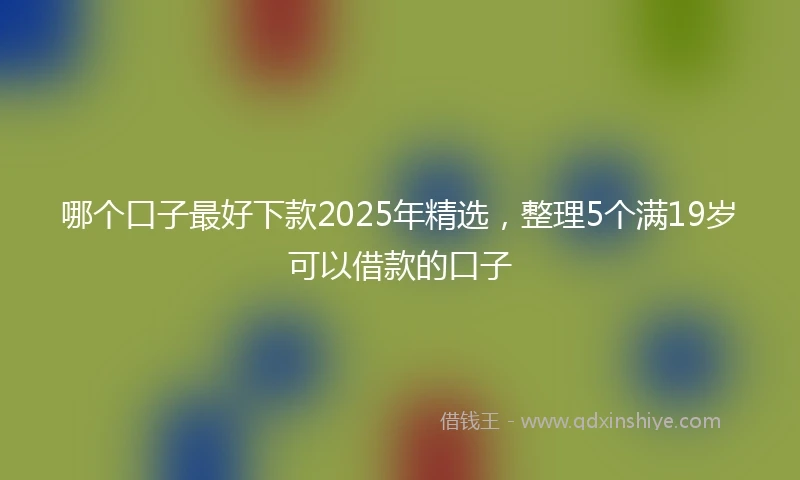 哪个口子最好下款2025年精选，整理5个满19岁可以借款的口子