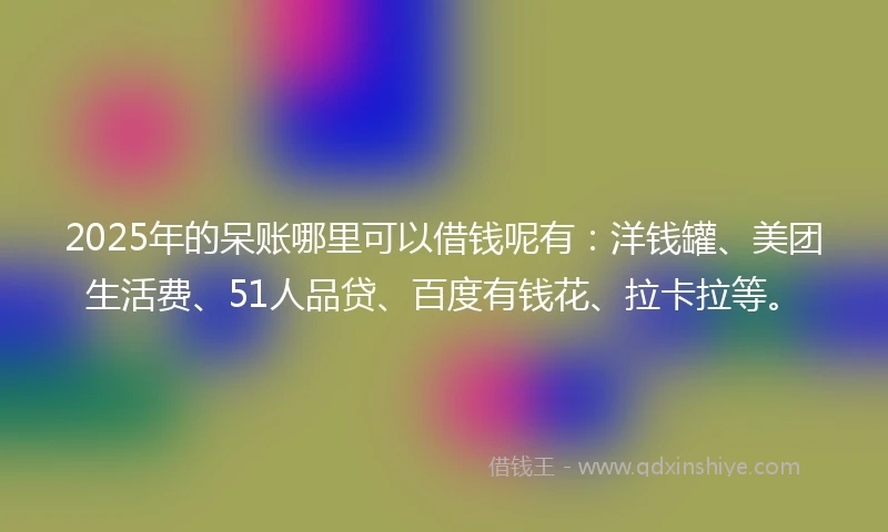 2025年的呆账哪里可以借钱呢有：洋钱罐、美团生活费、51人品贷、百度有钱花、拉卡拉等。