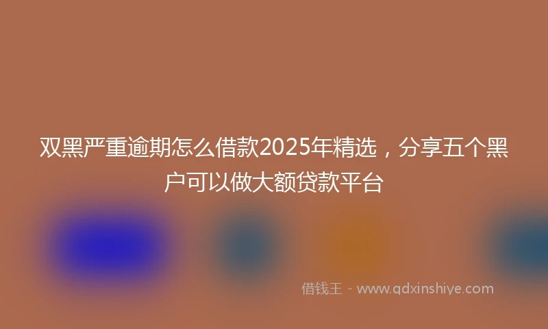 双黑严重逾期怎么借款2025年精选，分享五个黑户可以做大额贷款平台