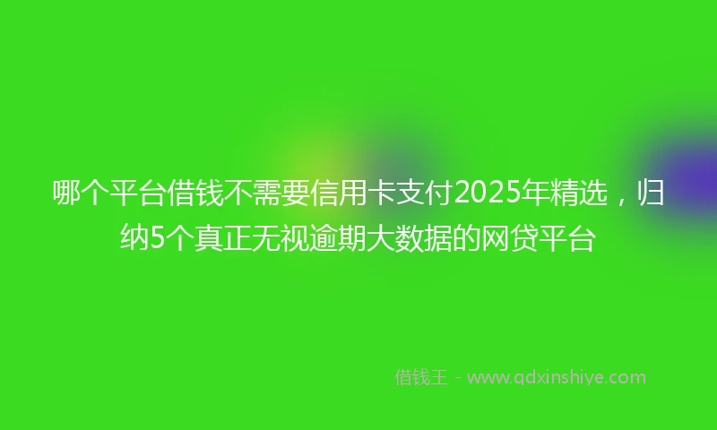 哪个平台借钱不需要信用卡支付2025年精选，归纳5个真正无视逾期大数据的网贷平台