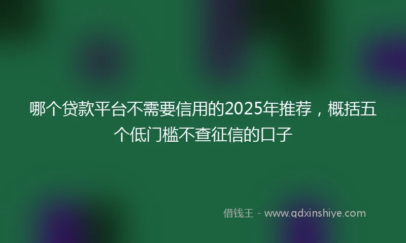 哪个贷款平台不需要信用的2025年推荐，概括五个低门槛不查征信的口子