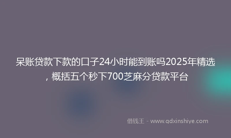 呆账贷款下款的口子24小时能到账吗2025年精选，概括五个秒下700芝麻分贷款平台
