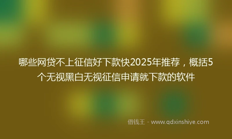 哪些网贷不上征信好下款快2025年推荐，概括5个无视黑白无视征信申请就下款的软件