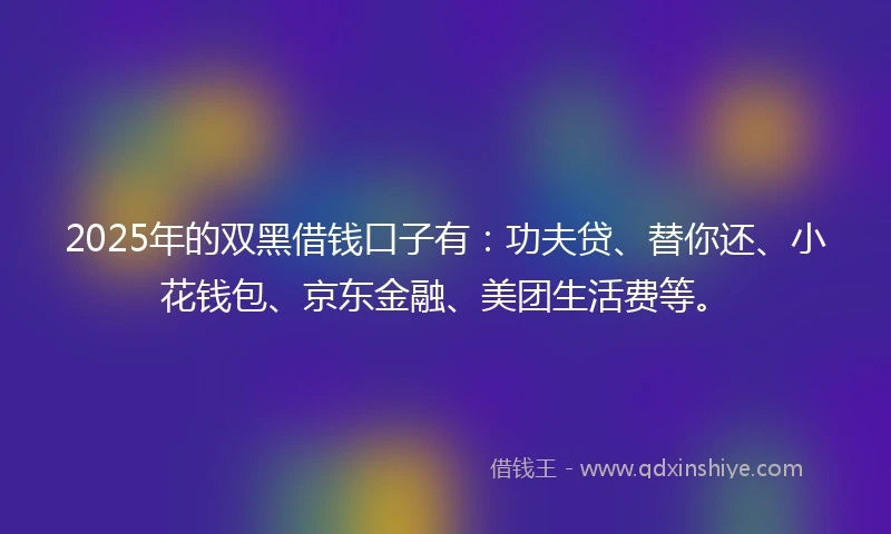 2025年的双黑借钱口子有：功夫贷、替你还、小花钱包、京东金融、美团生活费等。