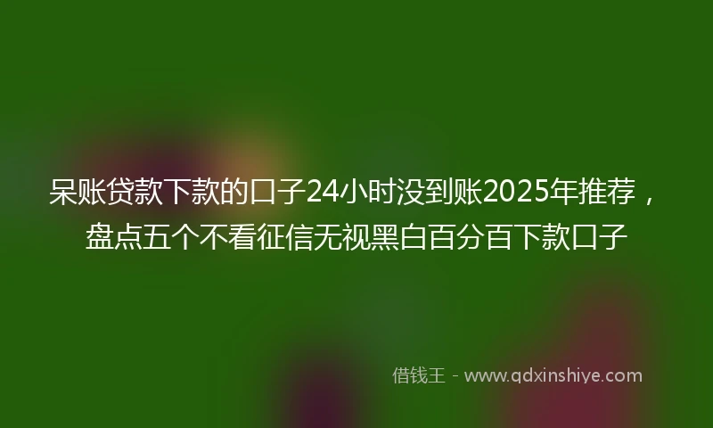 呆账贷款下款的口子24小时没到账2025年推荐，盘点五个不看征信无视黑白百分百下款口子