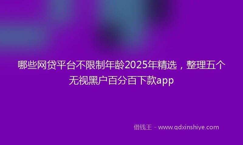 哪些网贷平台不限制年龄2025年精选，整理五个无视黑户百分百下款app