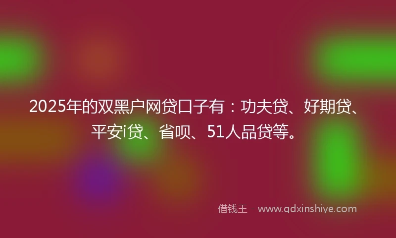 2025年的双黑户网贷口子有：功夫贷、好期贷、平安i贷、省呗、51人品贷等。