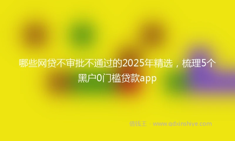 哪些网贷不审批不通过的2025年精选，梳理5个黑户0门槛贷款app
